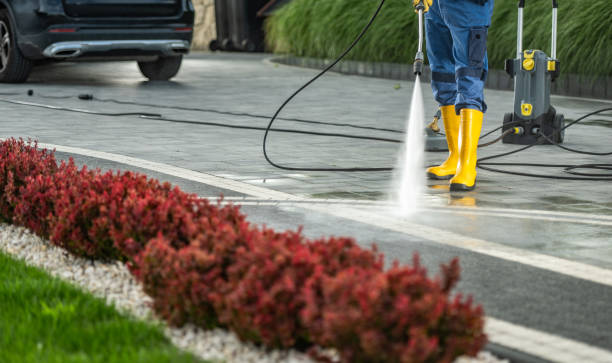 Best Pressure Washing Company Near Me  in Harbor Isle, NY